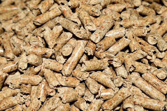 poele à granulés ou à pellets challans